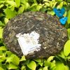 2019 Zhongcha Butterfly Высококачественная серия  Бамбуковый  чай с белым пионом Белый китайский чайный торт 357г NOS