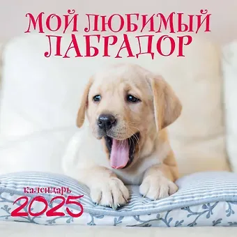 Календарь 2025г 300*300 "Мой любимый лабрадор" настенный, на скрепке