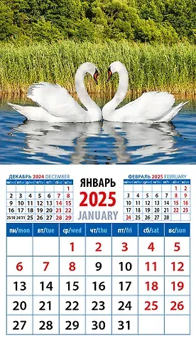 Календарь 2025г 94*167 "Лебединая пара" на магните