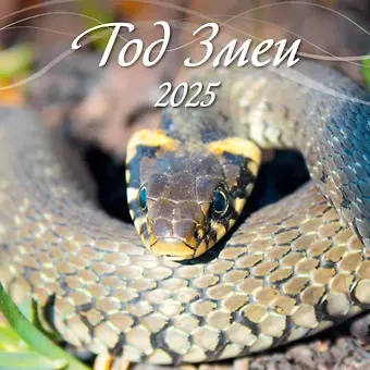 Календарь 2025г 285*285 "ГОД ЗМЕИ 2" настенный, на скрепке
