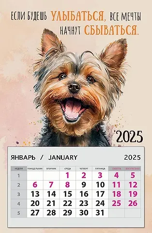 Календарь 2025г 95*145 "Если будешь улыбаться, все мечты начнут сбываться" на магните