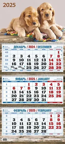 Календарь квартальный 2025г 310*680 "ДВА ЩЕНКА" настенный, трёхблочный, спираль