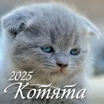Календарь 2025г 285*285 "КОТЯТА" настенный, на скрепке