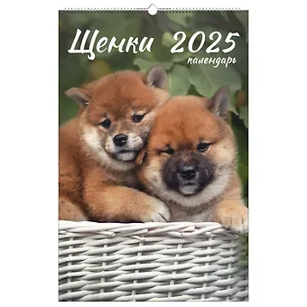 Календарь 2025г 280*435 "Домашние любимцы" настенный, на спирали