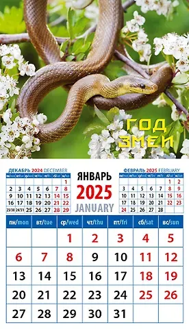 Календарь 2025г 94*167 "Год змеи 6" на магните