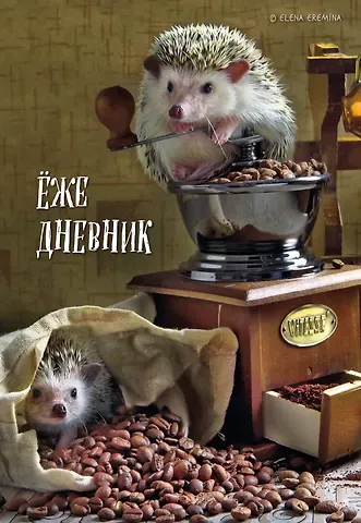 Ежедневник недат. А5 72л "Ёжедневник. Блокнот для людей и ежей (кофе)"