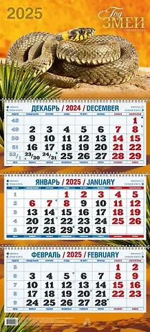 Календарь квартальный 2025г 310*680 "ГОД ЗМЕИ В3" настенный, трёхблочный, спираль