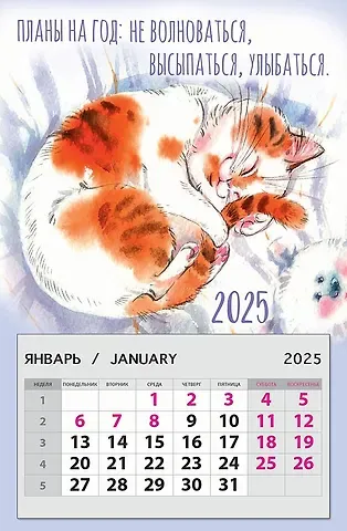 Календарь 2025г 95*145 "Планы на год: не волноваться, высыпаться, улыбаться" на магните