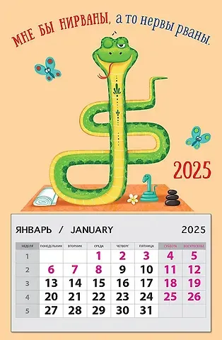 Календарь 2025г 95*145 "Мне бы нирваны, а то нервы рваны" на магните