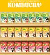 [Damtuh] Корейский здоровый BTS Kombucha(10EA) Grapefruit 10EA