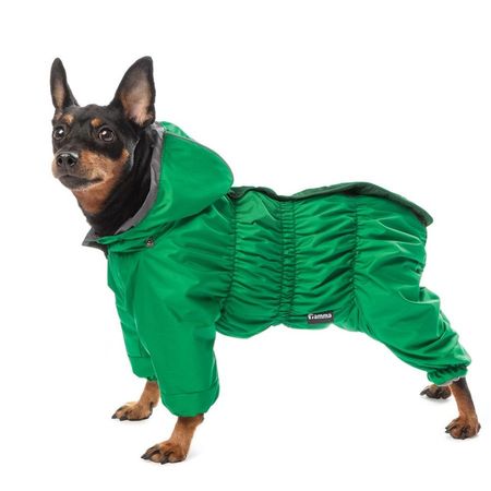 Gamma комбинезон демисезонный quotЛига quot зеленый размер M 27х50см 2154₽