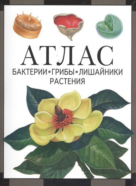 Иван Владимирович Черепанов Атлас. Бактерии, грибы, лишайники, растения