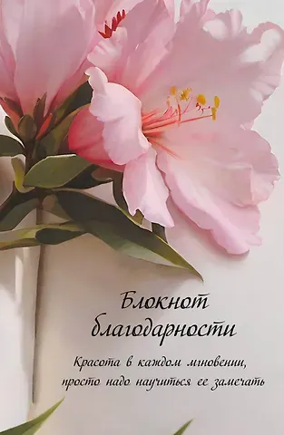 Книга для записей А5 64л "Блокнот благодарности. Красота в каждом мгновении, просто надо научиться ее замечать"