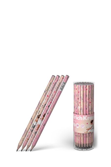 Карандаш чернографитный круглый ErichKrause 49₽