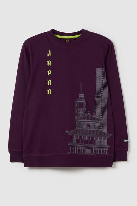 Лонгслив хлопковый с принтом OVS 1530₽