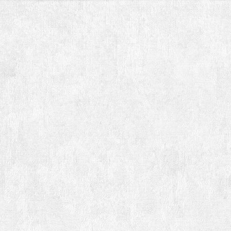 Обои Prima Italiana Medici 80013 Винил на флизелине 10610 БелыйСеребряный Штукатурка 5200₽