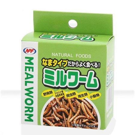 NPF Mealworm 35 г x 24 банки Амфибии Рептилии Ежи Корм Приманка Консервы Окинава дополнительная доставка