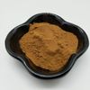 200 г органического дикого корня Polygala Tenuifolia 10:1 Экстракт порошка