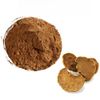 200 г органического экстракта Phellinus Linteus 20:1 порошок гриба Мешимакобу