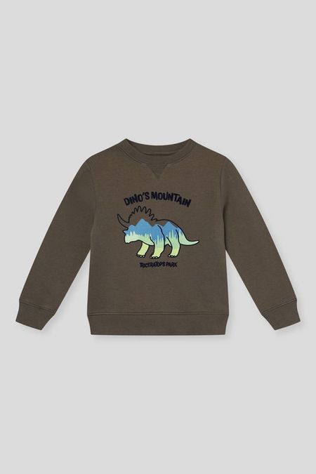 Свитшот хлопковый с принтом OVS 1147₽