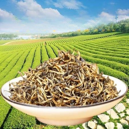 100 г Zunyi Красный чай Новый чай Guizhou Черный чай Полезный напиток
