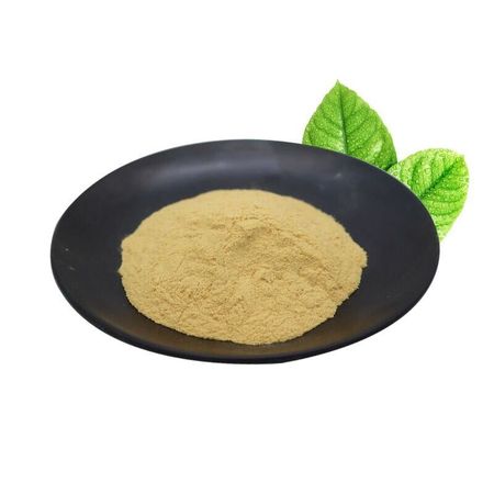 500 г чистого порошка экстракта листьев мушмулы урсоловой кислоты 25% органической