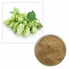 200 г органического порошка экстракта шишек хмеля 10:1 Хмель Humulus Lupulus