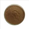 200 г экстракта Angelicae Sinensis Radix / китайского дягиля 20:1 Порошок