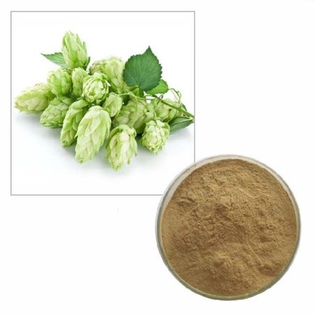 100 г чистого порошка экстракта шишек хмеля 10:1 Хмель Humulus Lupulus