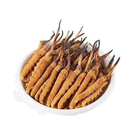 Тибетский гусеничный гриб (кордицепс) (3 г), Tibetan Keeda Jadi,  MYINDIA