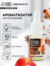 Ароматизатор пищевой «Яблоко с корицей», 10 мл