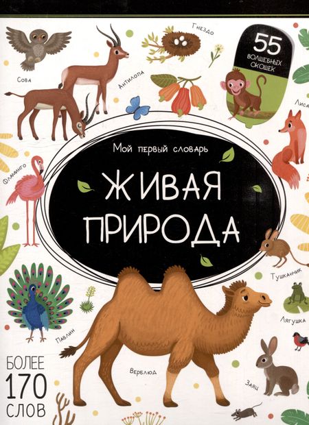 None Мой первый словарь. Живая природа: книжка с окошками