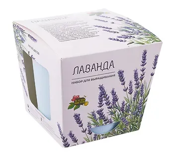 Набор для выращивания растений "Магия Цветов", Лаванда