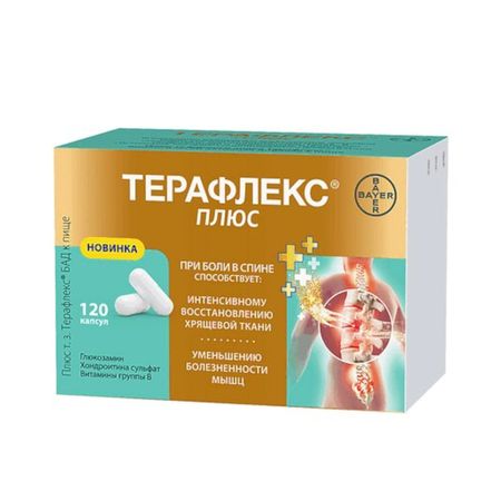 Терафлекс Плюс Капс.№120