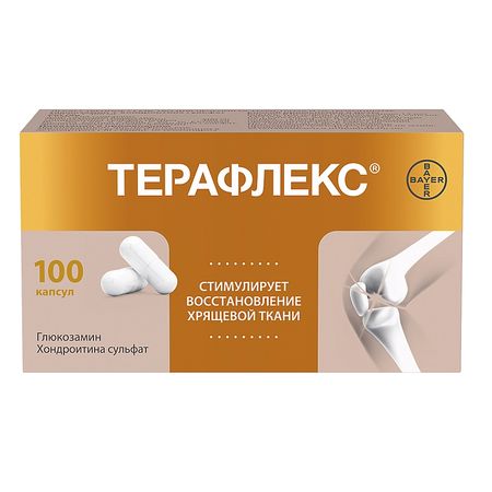 Терафлекс Капс.№100