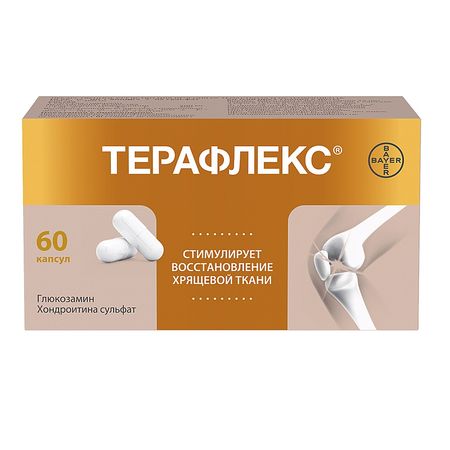 Терафлекс Капс.№60