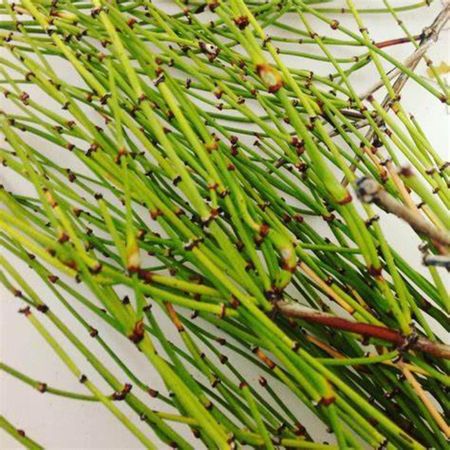 250 г Mo Huang Healthy Herbal Tea Натуральный чай Muhuang 250 г Китайский травяной 250g