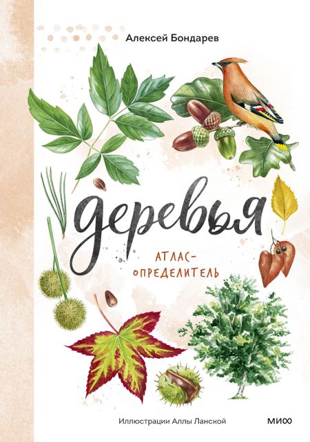 Алексей Бондарев Деревья. Атлас-определитель