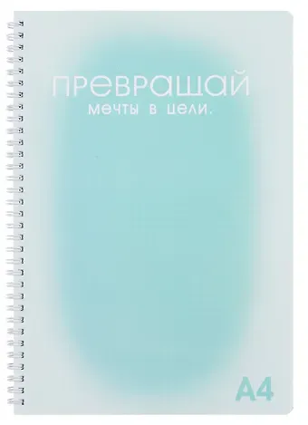 Тетрадь А4 100л кл. "Мечты и цели" пласт.обложка, евроспираль