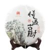 2020 Dong Guo Old Raw Materials Shen Puer Tea Aged Tree Raw Puer Tea 357g 357g