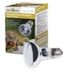 B63060 Repti Day дневная 60w