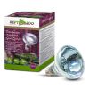 B63050 Repti Day дневная 50W