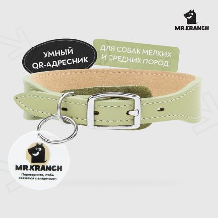 из натуральной кожи с QR-адресником, нежно-зеленый 20-24см