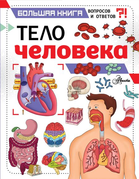 Джон Фарндон Тело человека