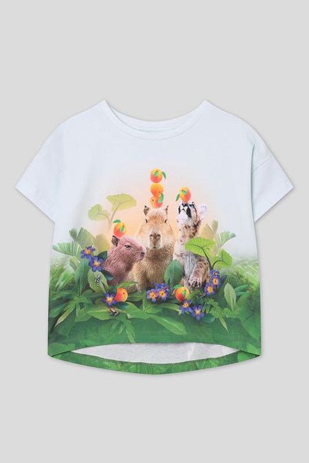 Футболка хлопковая с принтом Molo 4552₽