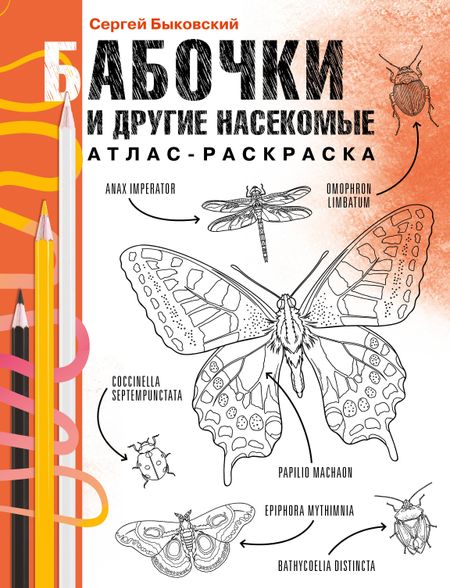 Быковский Сергей Александрович Бабочки и другие насекомые