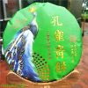 100g/357g Chinese YunNan Sheng Raw Puer Cake Model For Diy Shelf Decoration With Cover Pattern NO Packaging Model CHINA