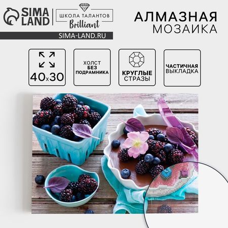 Алмазная мозаика круглыми стразами с частичным заполнением «Ягоды», 30 х 40 см. Набор для творчества