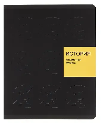 Тетрадь 48л кл. ТЕМА "New Black. История" мел.картон, ламинация soft-touch, выб.выс.лак, справ.мат-лы