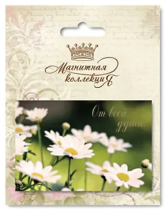 Сувенир, Минимакс, Магнитная открытка Ассорти Ромашки